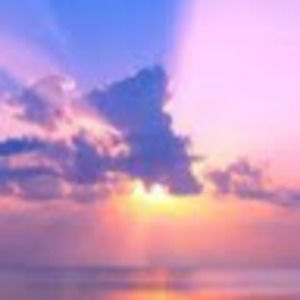 Meet your Posher, Lucy